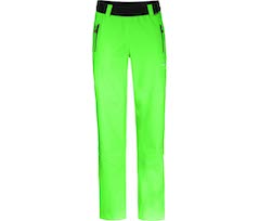 Gecko gr�n